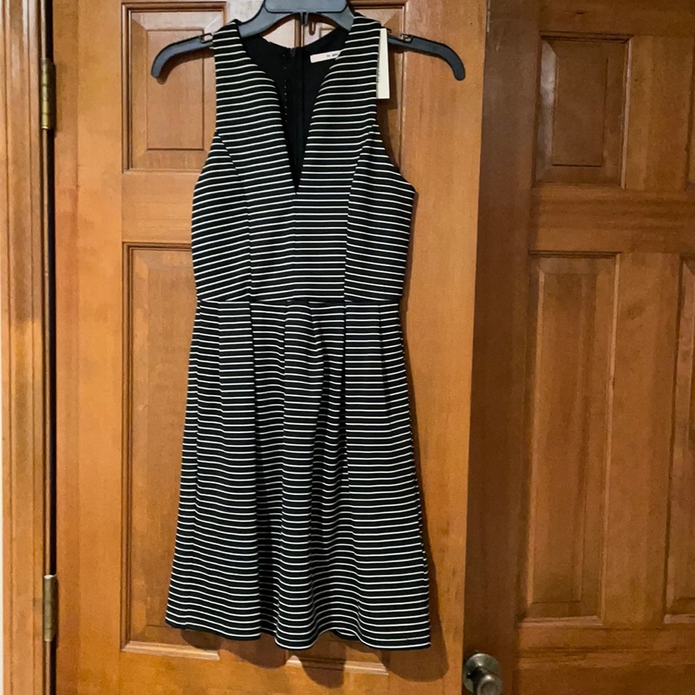 Francescas dress